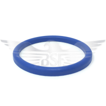 1inch/DN25 DIN JOINT RING EPDM BLUE