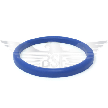 2Inch/DN50 DIN JOINT RING EPDM BLUE 2Inch/DN50 DIN JOINT RING EPDM BLUE