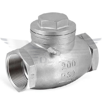 1/4Inch BSPP SWING CHECK VALVE 316