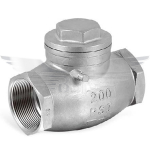 1" BSPP SWING CHECK VALVE 316