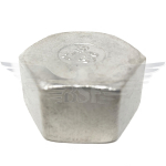 2" BSPP HEX CAP 150LB 316