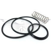 1inch NON RETURN VALVE SEAL KIT EPDM C/W SPRING