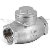 1.25inch BSPP SWING CHECK VALVE 316