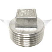 2inch BSPT SQ PLUG 150LB 316