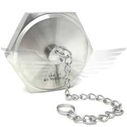 RJT Blank Nut & Chain