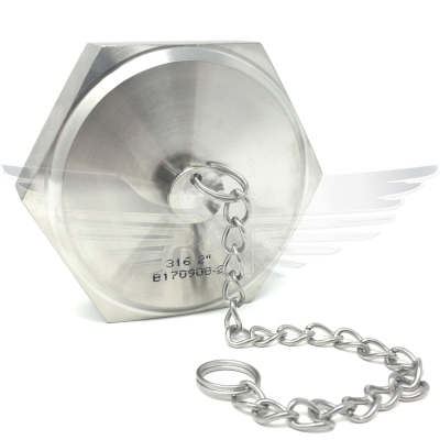 2Inch RJT BLANK NUT + CHAIN 316