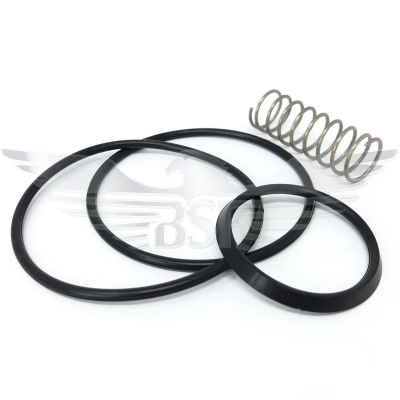 2Inch NON RETURN VALVE SEAL KIT EPDM C/W SPRING