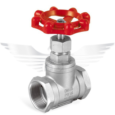 3/4Inch BSPP GLOBE VALVE 200LB 316